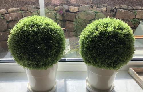 NEU! Ferienwohnung FasanenNest - Foto 13