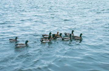 Jones Beach Houseboat - Photo 80