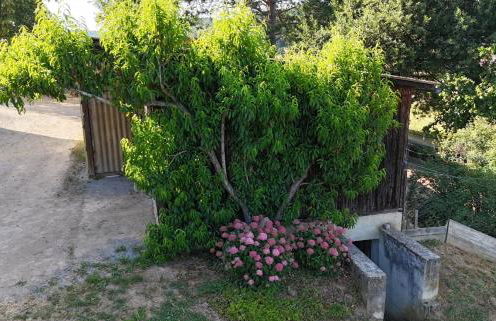 Ferienwohnung Naturtraum - Foto 7