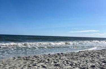 Salt Life - Foto 33