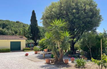 Il Leccio Agriturismo - Foto 63