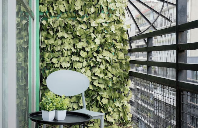 Socrates 378 - Foto 65