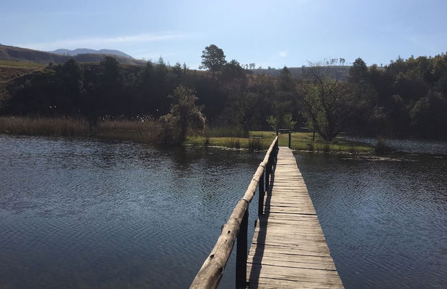 Champagne Haven - Foto 27