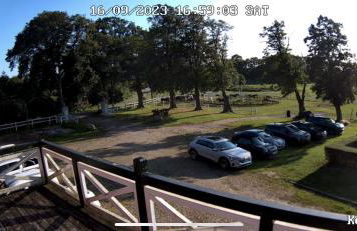 Gut Aspern Polohof - Foto 75