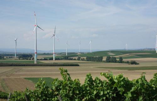 Antjes Ferienwohnung Flonheim - Foto 35