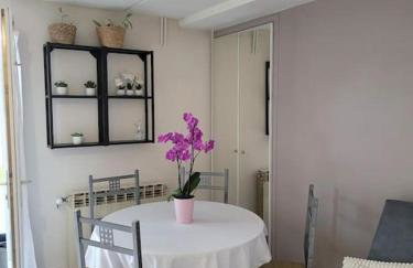 Charmant appartement 35 m2 avec terrasse et jardin - Foto 1