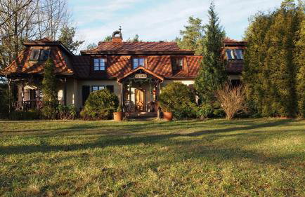 Lisi Dwór - Foto 11