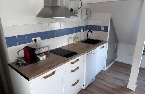 Au pieds du vignoble Colmarien - Foto 17