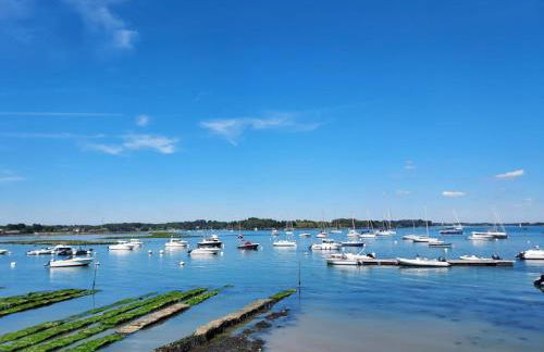 Des chevreuils - Photo 17