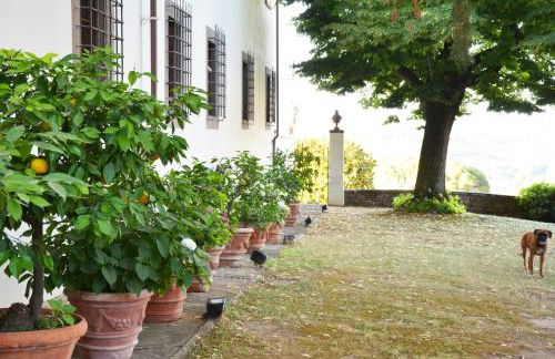 Podere di Montecchio - Photo 60