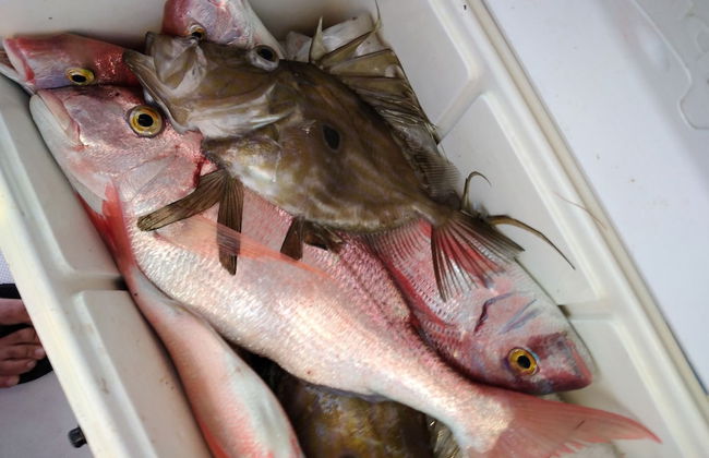 Seafront House Le Finestre Sul Mare With Balcony - Photo 10