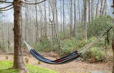 Bears Place by Avantstay Cozy Mountain Cabin in Brevard + Firepit - Foto 59