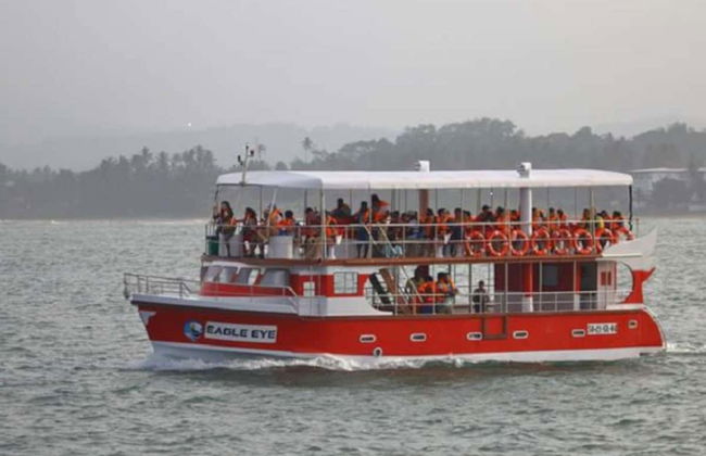 Observation de cétacés à Mirissa - Photo 1