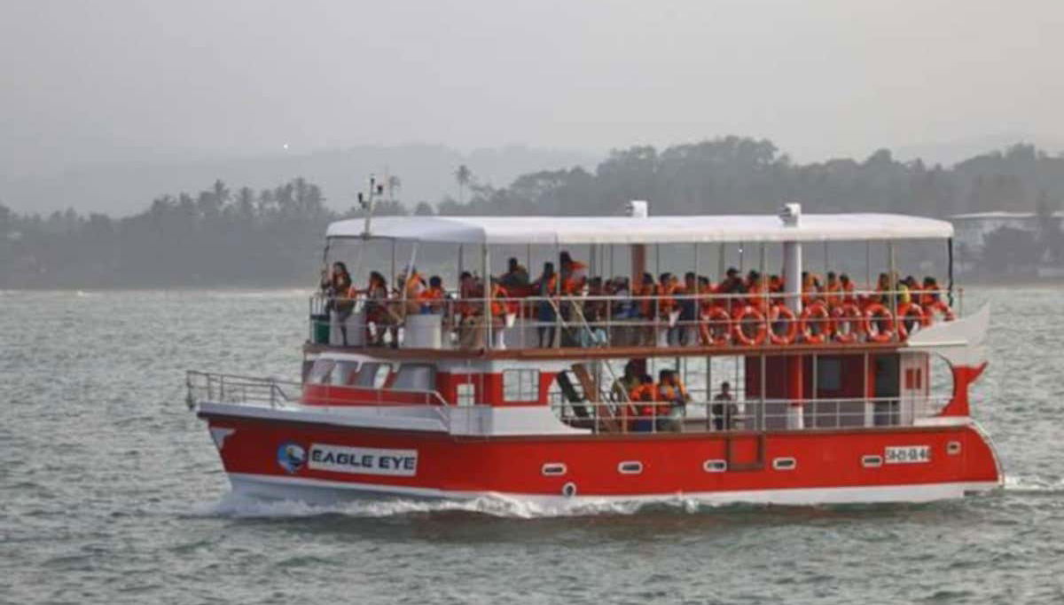 Whale Watching in Mirissa - Foto 1