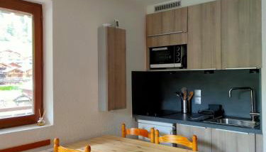 Studio Châtel Secteur Linga Proche Pistes - Foto 1