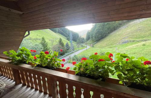 Bauernhaus im Münstertal - Foto 20