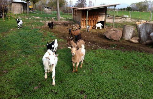 Agriturismo La Montina - Foto 47