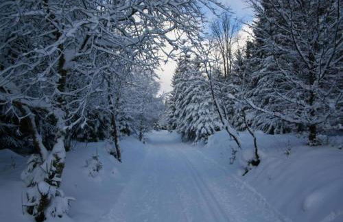 Ferienhaus mit Wellnessbereich in Elend - Foto 24