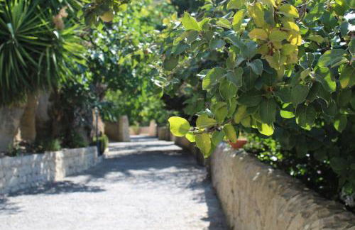 B&B Agriturismo 'A Cunziria - Foto 33