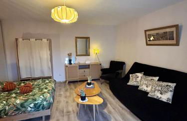 Charmant studio de 50 m2 - Foto 4