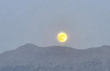 Blue Horizon Apartments - Foto 66