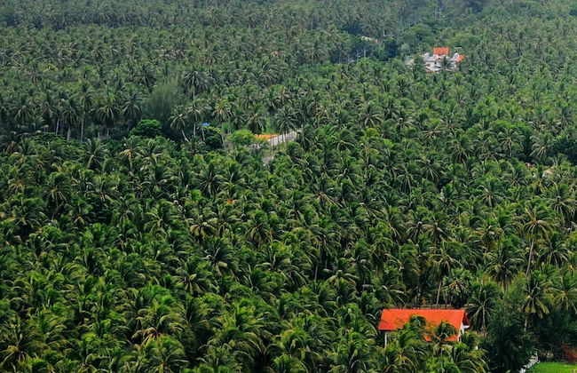 155 SalaCoco - Foto 1