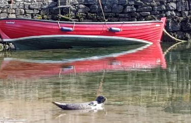 Driftwood Cottage, Portsoy - Foto 25