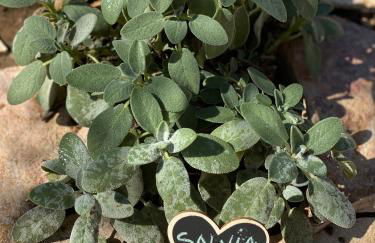 La casetta - Foto 18