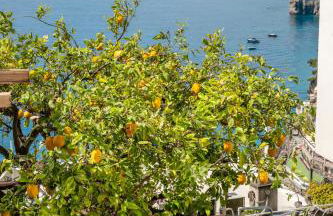 Casa Tony & Mary - Foto 70