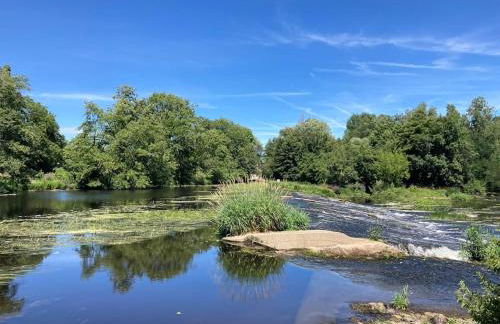 La ferme Des Cosses - Foto 24