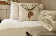 Bonnie Lodge-Lochside Location with Hot Tub - Photo 14