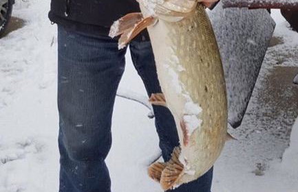 Miła Dolina - Foto 44