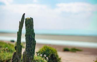 River View Cottages - Foto 37