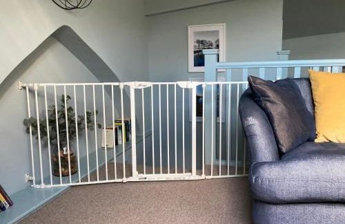 The Wild Daisy - Foto 23