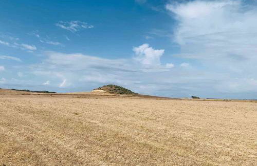 Ale house experience - Foto 70