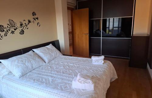 Espectacular vivienda unifamiliar con jardín en Olite - Photo 11