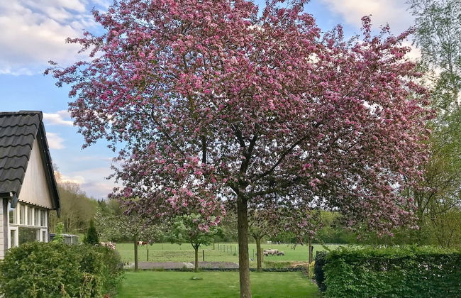 Homely Apartment in Noordwolde With Balcony - Foto 68