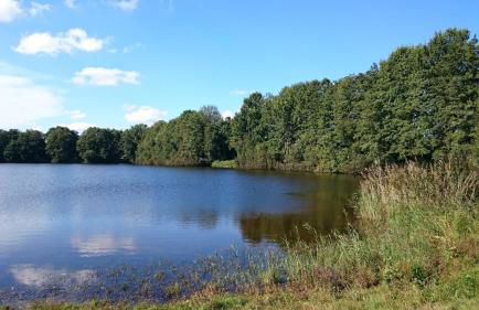 Ferienwohnung Am See 2 - Foto 17