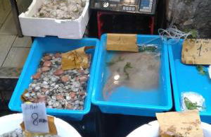 San Gaetano 23 - Photo 43