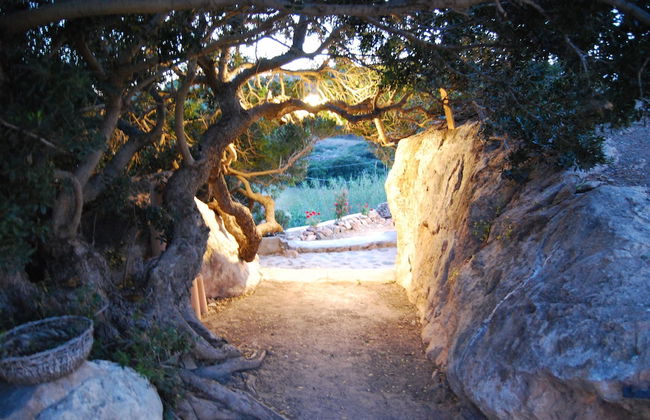 Maistrali Studio Ponente - Foto 19