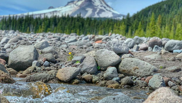 Vue sur le mont Hood