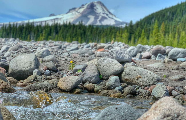 Excursão às Multnomah Falls e ao Monte Hood - Foto 3
