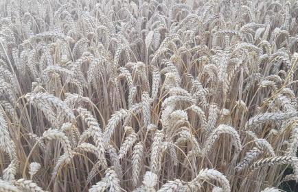 in die Ferien mit 16 Freunden - Foto 50