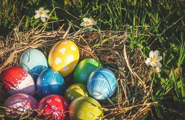 Kassler Comfortable Holiday Residence - Foto 17