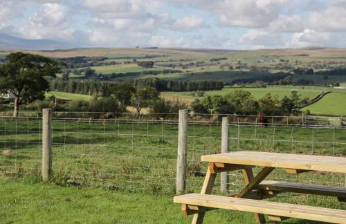Bryn Dedwydd Cottage - Photo 18