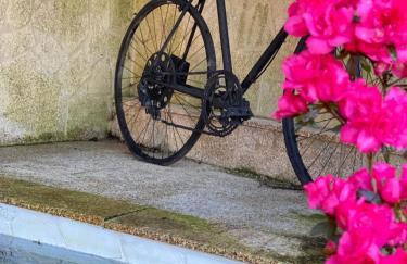 Lar de Sefa 15 - Foto 15