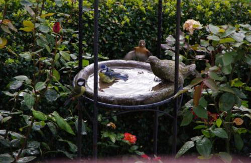 Landhaus Blumenstein - Foto 3