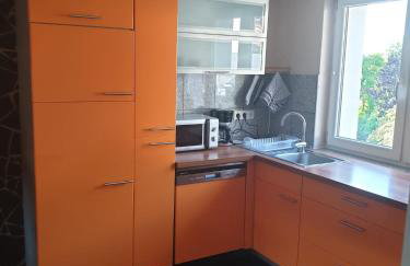 Apartment da Luiz Salvatore - Foto 53