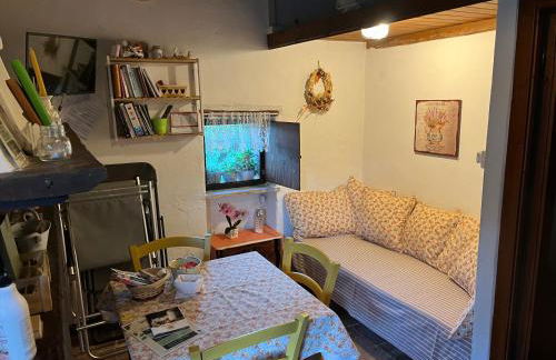 la casetta di Vacone - Foto 6