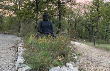 Le Mas d'Angèle - Foto 38